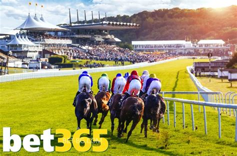 bet365 race|bet365 racing results.